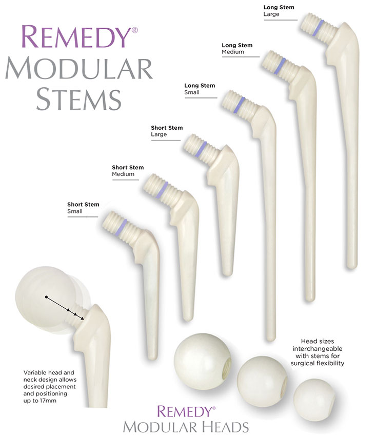 remedymodularstem